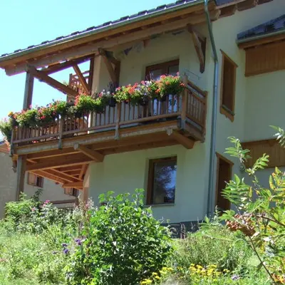 Ancolie Bleue -Abriès-Ristolas -Queyras