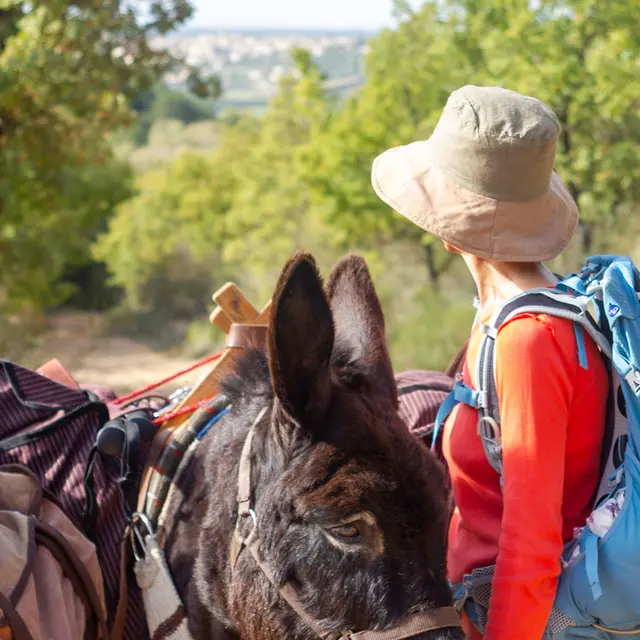 Tis'ânes en Luberon, monte en Seyne