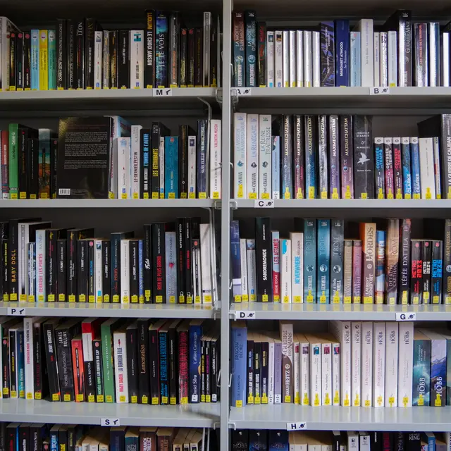 Exposition La Fabrication d'une BD_Saint-Cyr-sur-Mer