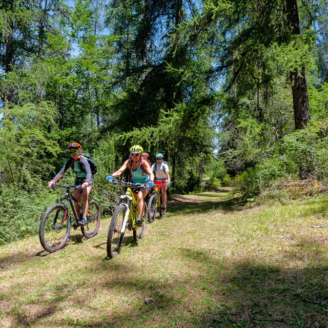 Sortie accompagnée E-bike dégustation