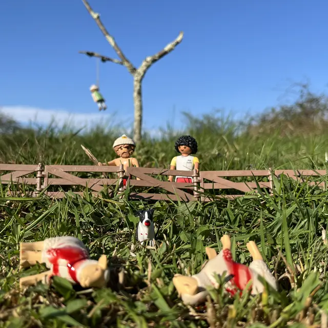 Théâtre - Pierre Guillois Foutue Bergerie_Ollioules