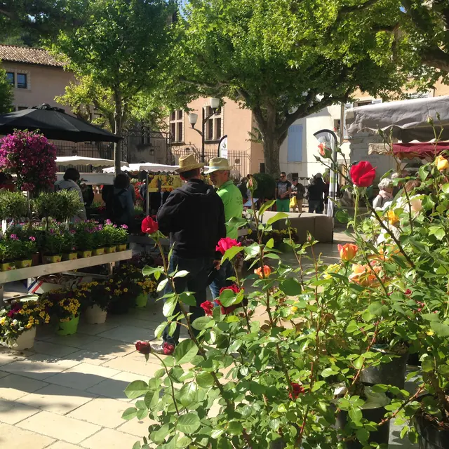 Place Baragnon_Cassis