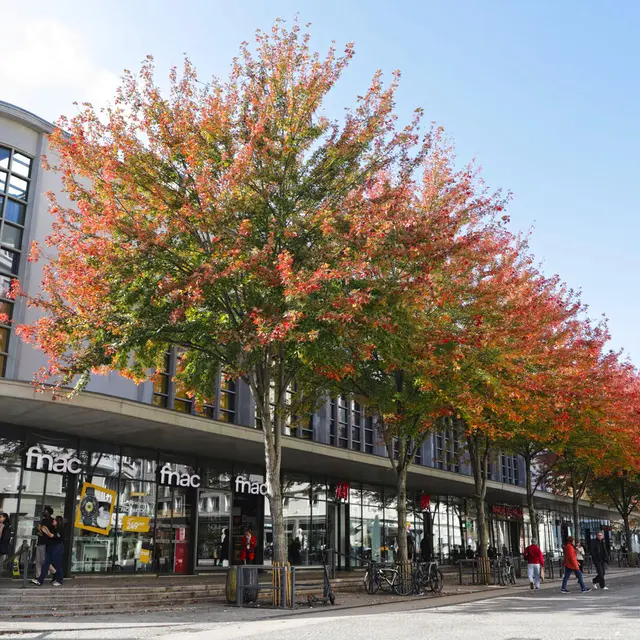 Le coin des enfants: Concours d'architectes_Chambéry