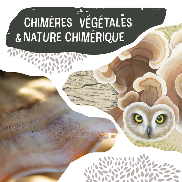 Affiche Chimères végétales