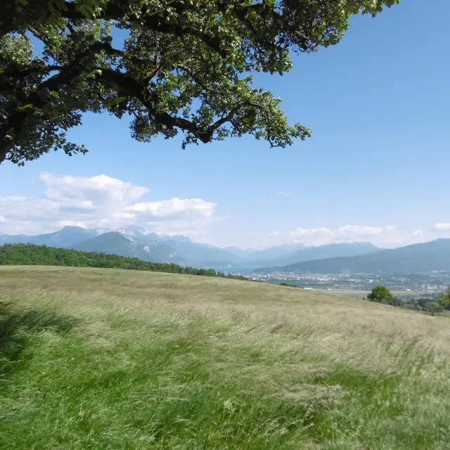 Point de vue - Ferrières