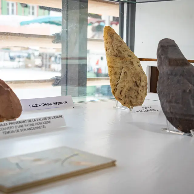 Néandertal et Sapiens : un nouveau regard sur nos origines_Roquebrune-sur-Argens