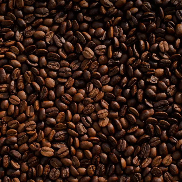 Atelier de dégustation Caféologie_Toulon