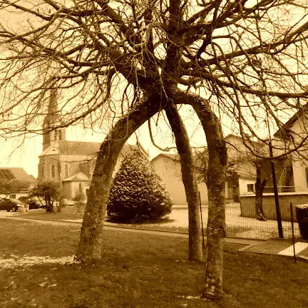 Exposition de l'atelier de généalogie