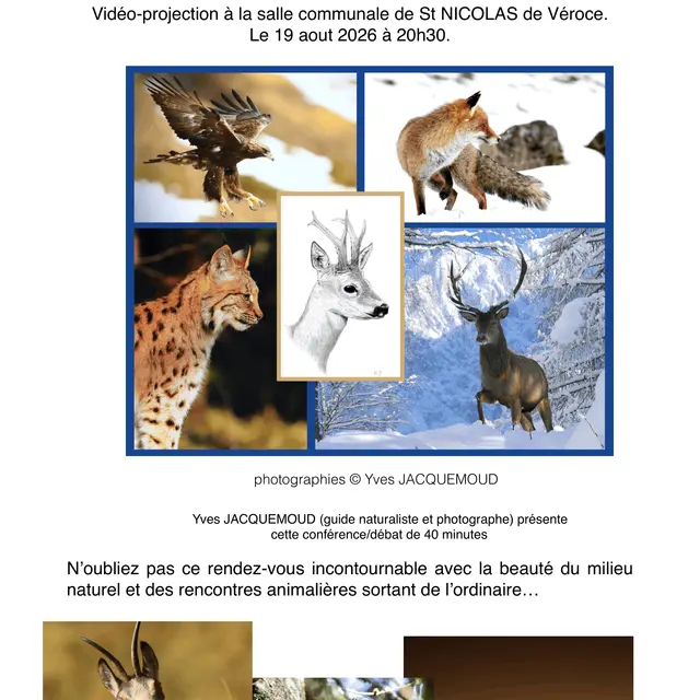 RENCONTRES Privilégiées avec la faune sauvage alpine !_Saint-Gervais-les-Bains