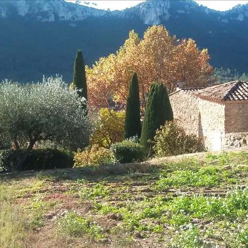 Château Val d'Arenc