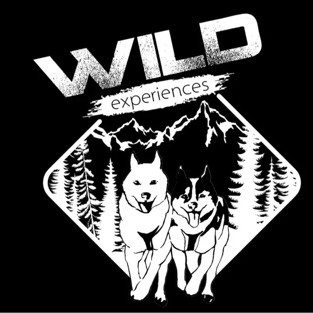 Wild Expériences chien de traîneau