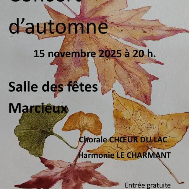 Affiche du concert