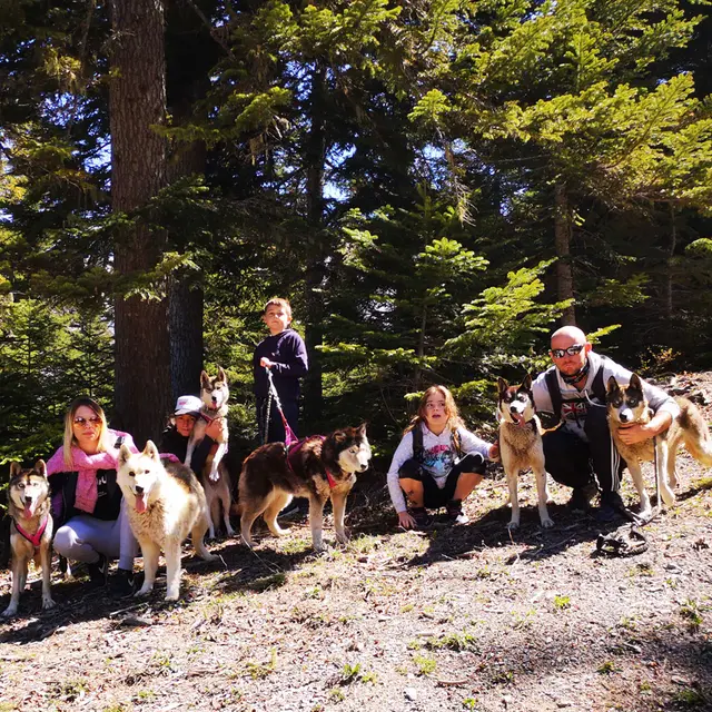 Cani-rando Passion Traineau