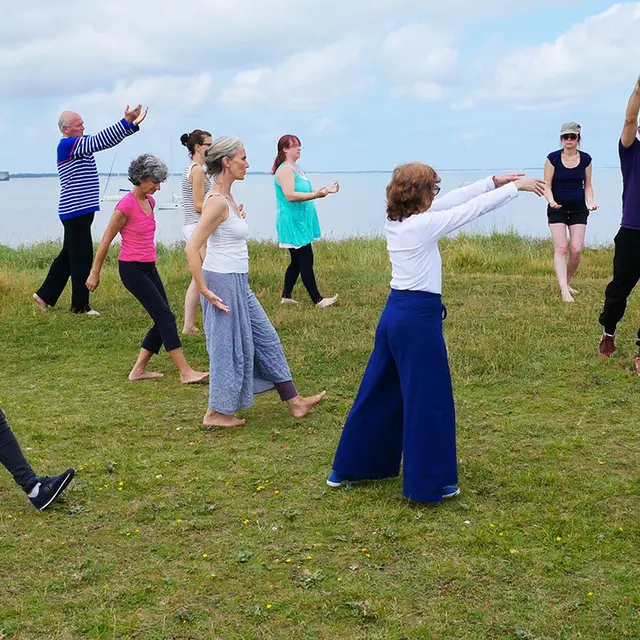 Cours en extérieur de tai-chi-chuan