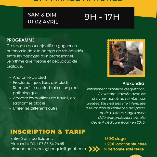 stage pied du cheval