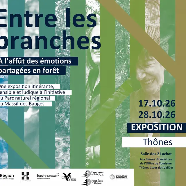 Exposition Entre les branches_Thônes