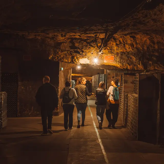 Circuit visite - Cave