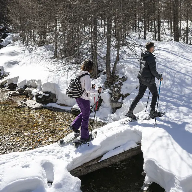 Itinéraire raquettes Tour du Passour