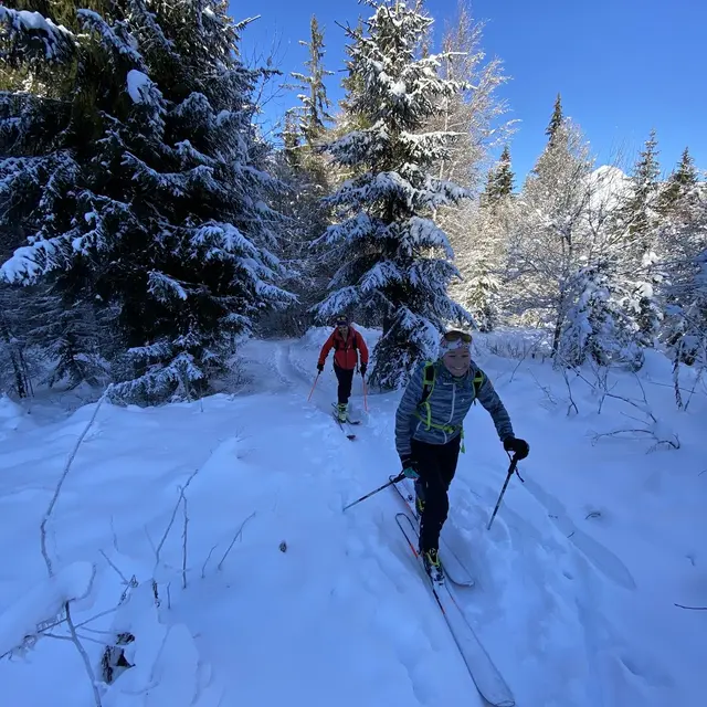 Season Guiding