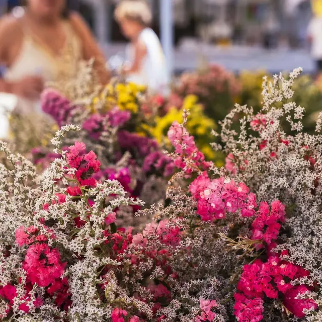3e Marché aux fleurs d’Alès