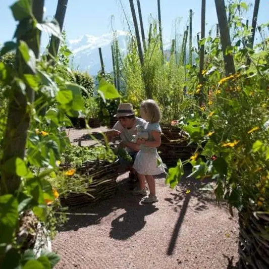 Visite guidée du Jardin des Cimes_Passy