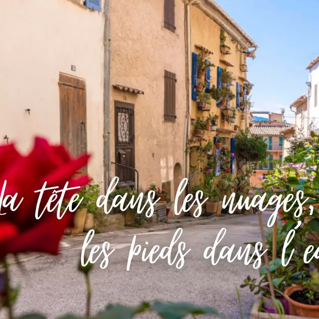 La Petite Maison_Cogolin