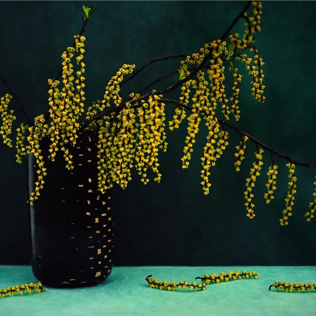 Exposition ENDLESS WINTER_Saint-Paul-de-Vence