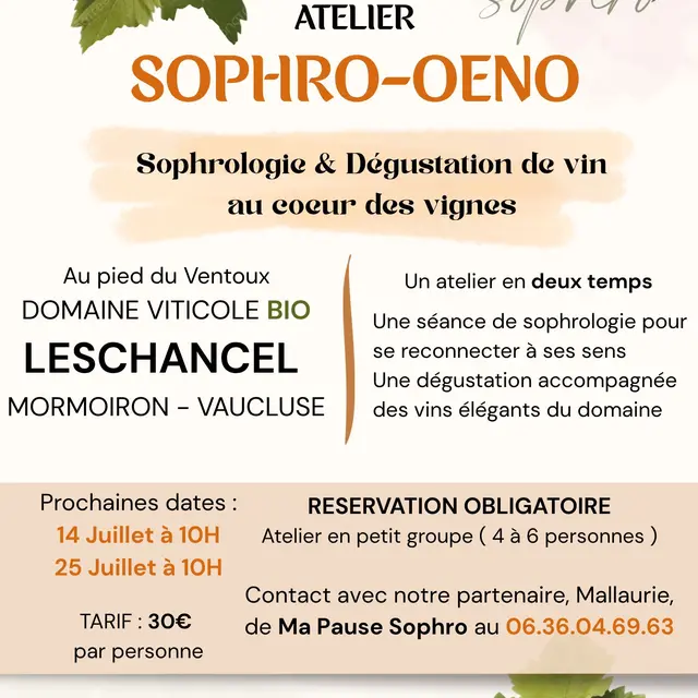 Atelier Sophro-Oeno au Domaine LesChancel_Mormoiron