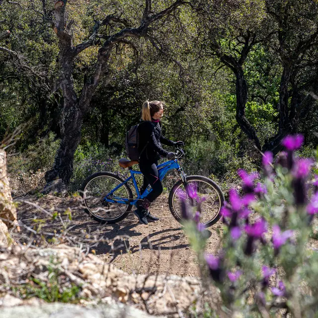 La Garde Freinet à Grimaud par les Vernades