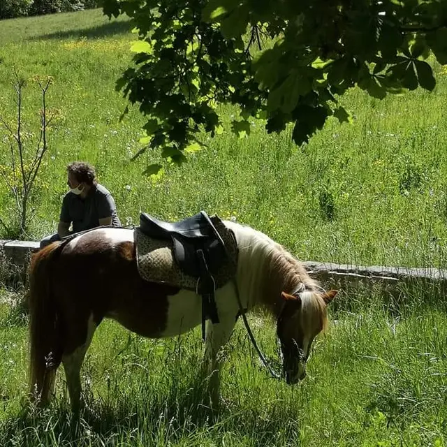 Centre équestre de l'Embrunais EMBRUN