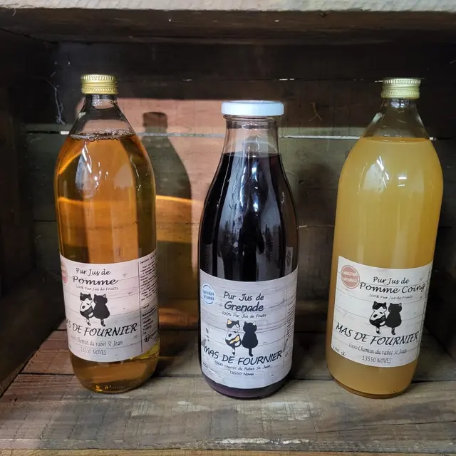 Mas de Fournier_Noves