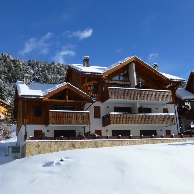 les gentianes - Duhamel