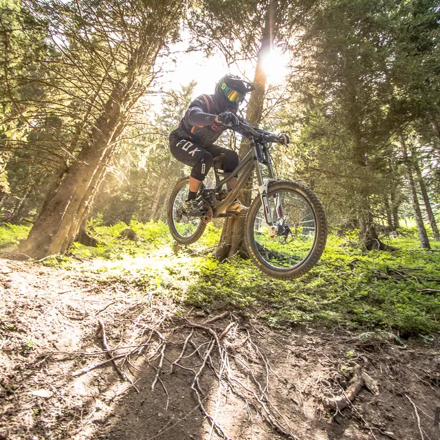 VTT de descente aux 7 Laux