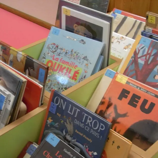 Bibliothèque de l'Hospitalet Près L'Andorre