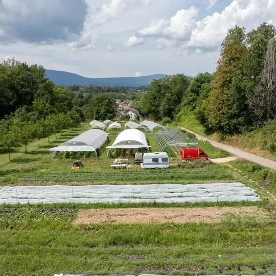 Les Pieds dans le Local® ! Visite d'exploitation