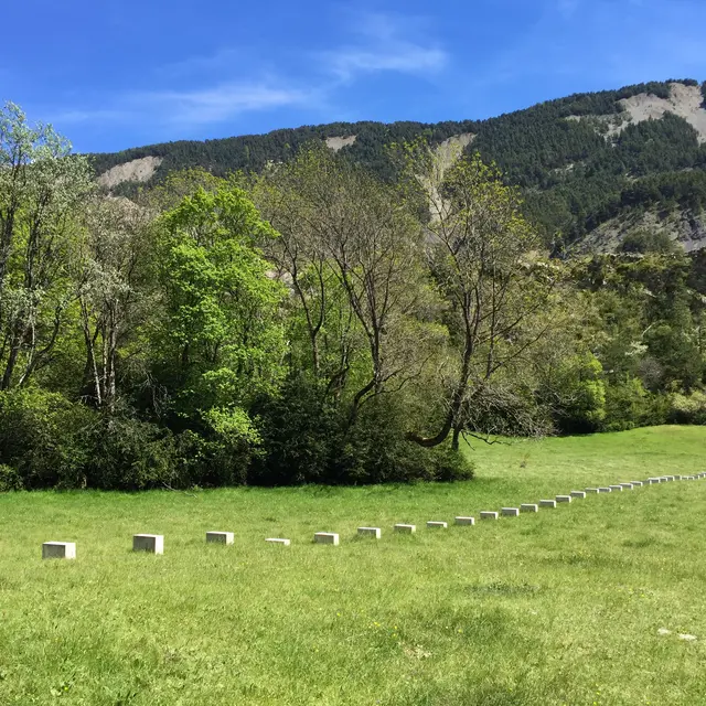 Bois de la Julie_Prads-Haute-Bléone