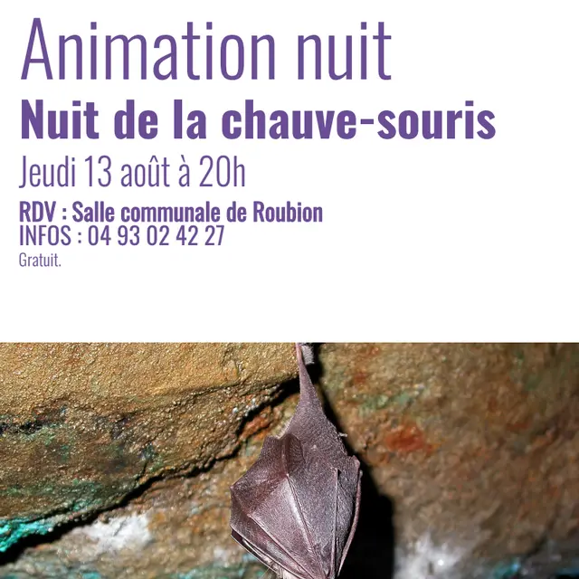 Nuit de la chauve-souris_Roubion