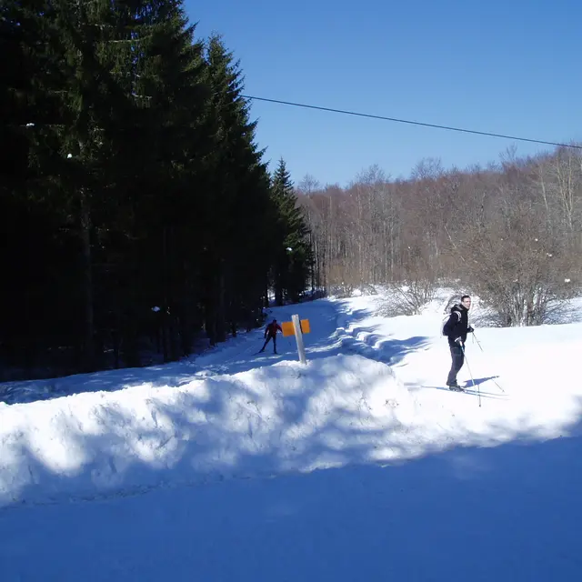 ski nordique