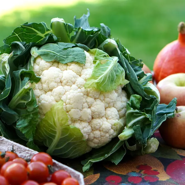 Marché paysan_Gumières
