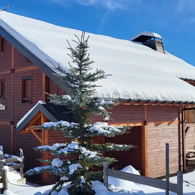 appartement dans le chalet Ophrys d'Arvan_Fontcouverte-la Toussuire