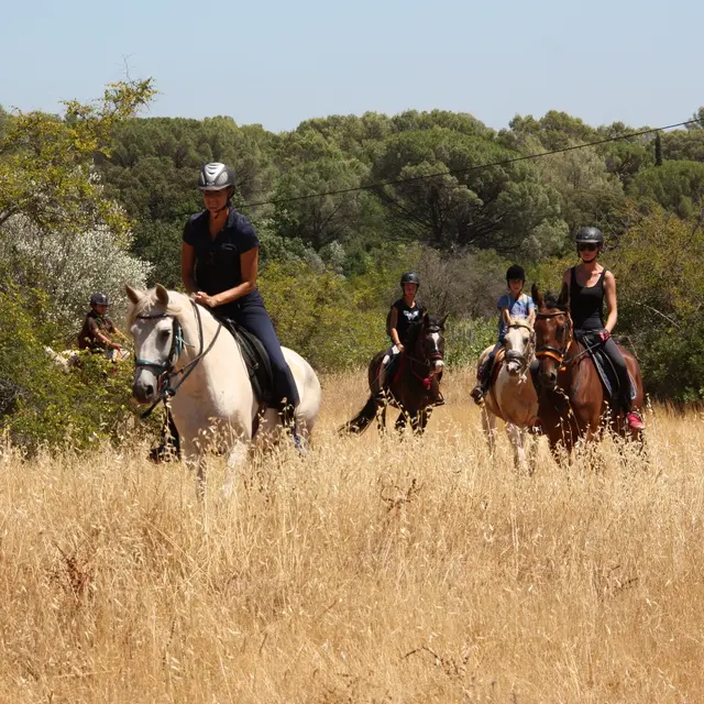Domaine Equestre des Grands Pins