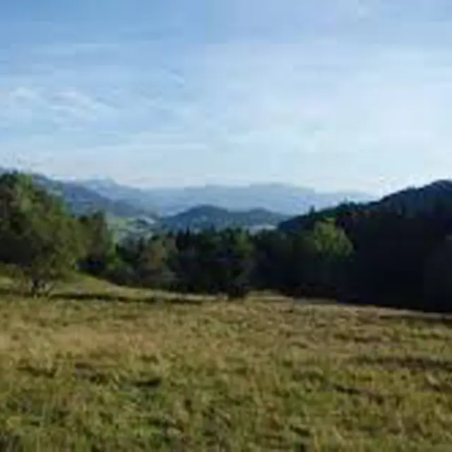 Paturage de l'Herpettaz