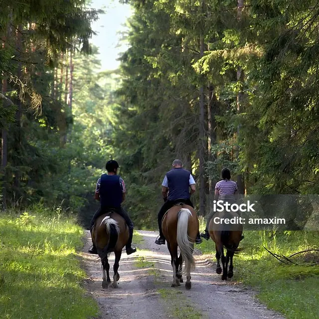 Randonnée équestre_Saint-Nizier-de-Fornas