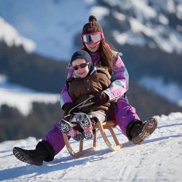luge