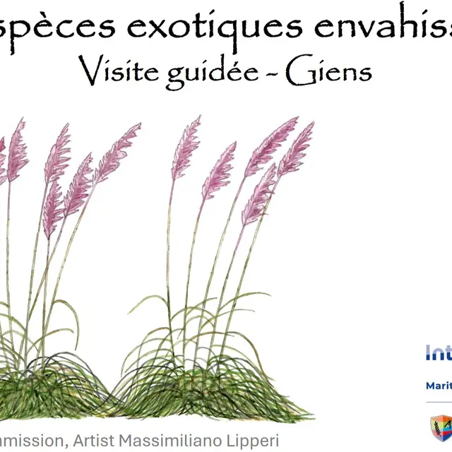 Balade nature Giens : les trésors du Var menacés_Hyères