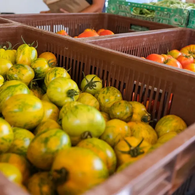Marché des producteurs de Montfavet_Avignon