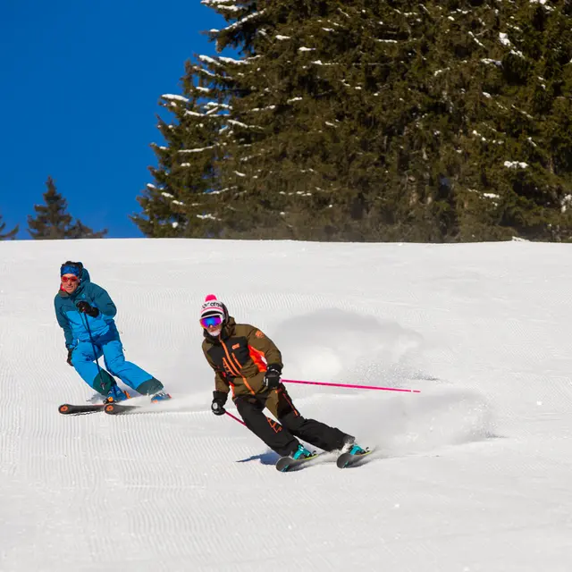 Cours de ski alpin adulte