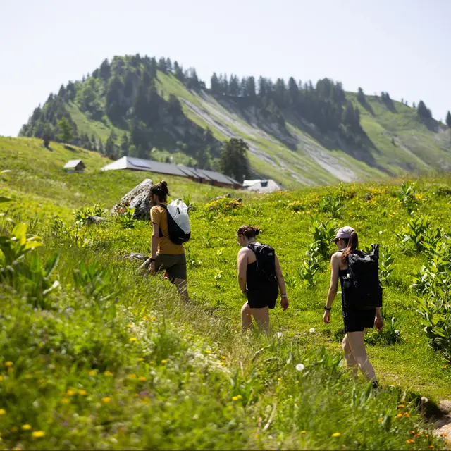 Projection d'un film autour du pastoralisme_Faverges-Seythenex