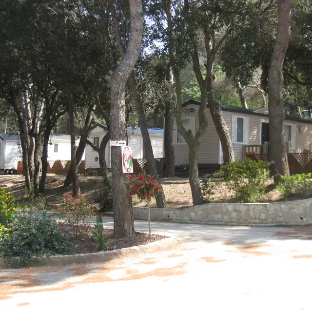 Mobil-homes Provence 4 personnes