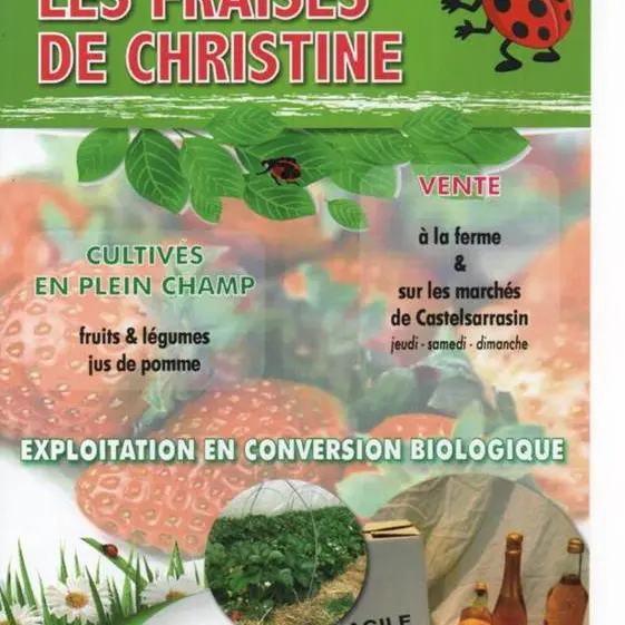 Les Fraises de Christine
